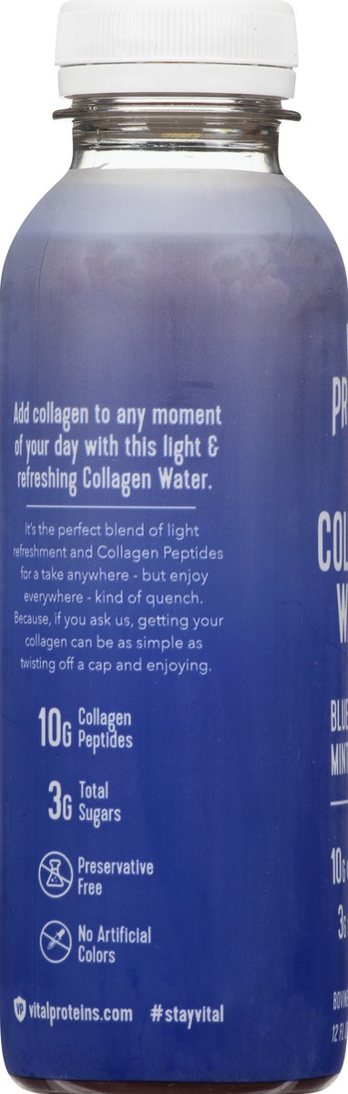 slide 6 of 11, Vital Proteins Blueberry Mint Collagen Water 12 oz, 12 oz