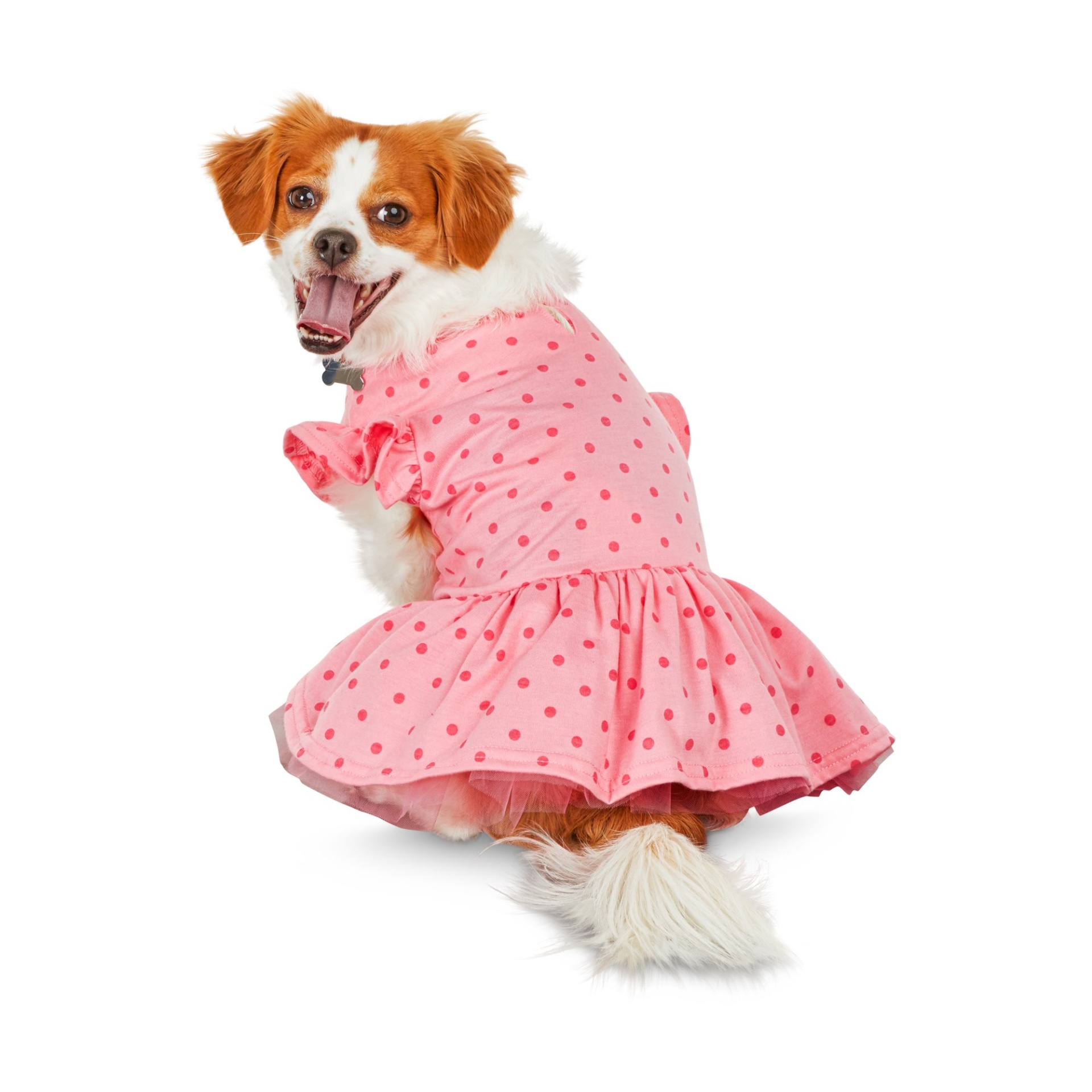 slide 1 of 1, Bond & Co. Pink Polka Dot Dog Dress, MED