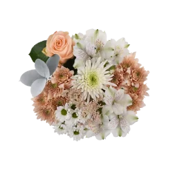 Bloom Haus Ivory Kiss Fresh Flower Bouquet, 1 ct