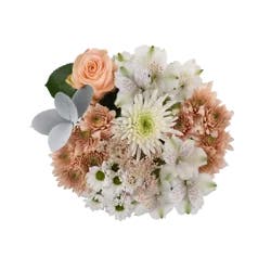 Bloom Haus Ivory Kiss Fresh Flower Bouquet, 1 ct