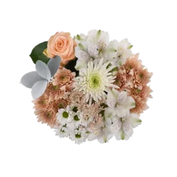 Bloom Haus Ivory Kiss Fresh Flower Bouquet, 1 ct