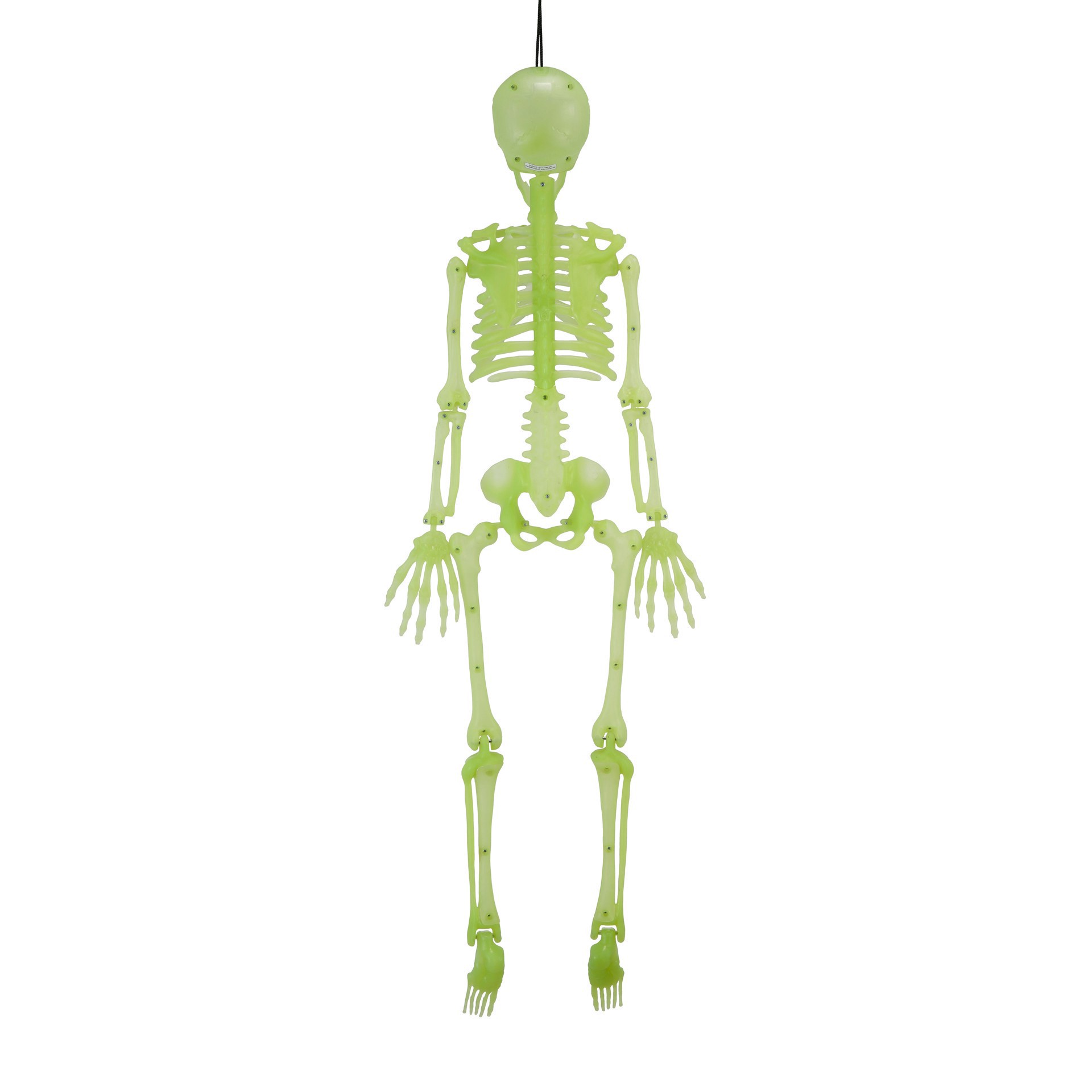 slide 4 of 5, 3ft. Glow-In-The-Dark Skeleton By Ashland, 3 ft
