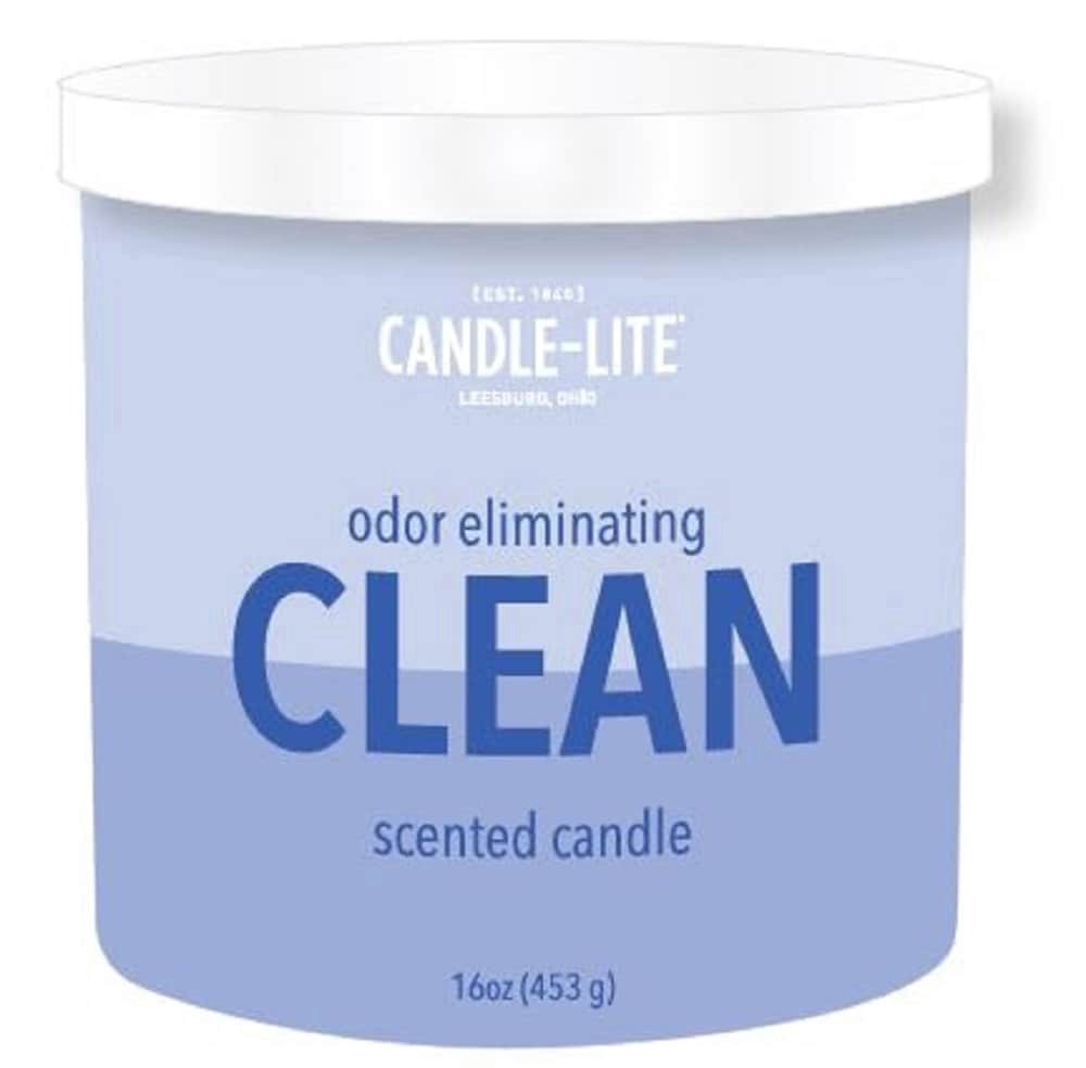 slide 1 of 1, Pure Clean Eucalyptus + Lily Candle 1 ea, 1 ct