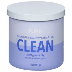 Pure Clean Eucalyptus + Lily Candle 1 ea