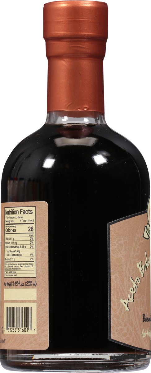 slide 5 of 9, Rustichella d'Abruzzo Balsamic Vinegar of Modena 8.45 fl oz, 8.45 fl oz