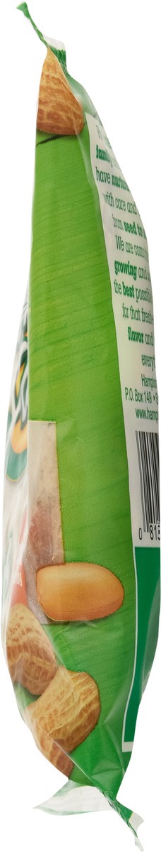 slide 5 of 13, Hampton Farms Roasted Salted Peanuts 3 oz, 3 oz