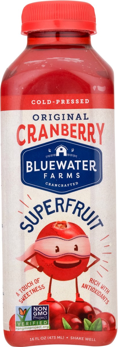 slide 5 of 9, Bluewater Farms Superfruit Cold-Pressed Original Cranberry Fruit & Vegetable Drinks - 16 fl oz, 16 fl oz