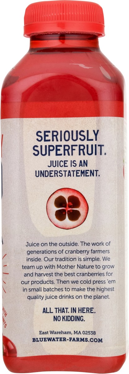 slide 2 of 9, Bluewater Farms Superfruit Cold-Pressed Original Cranberry Fruit & Vegetable Drinks - 16 fl oz, 16 fl oz