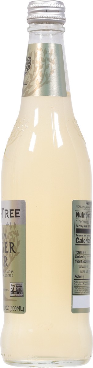 slide 2 of 9, Fever-Tree Ginger Beer - 500 ml, 500 ml