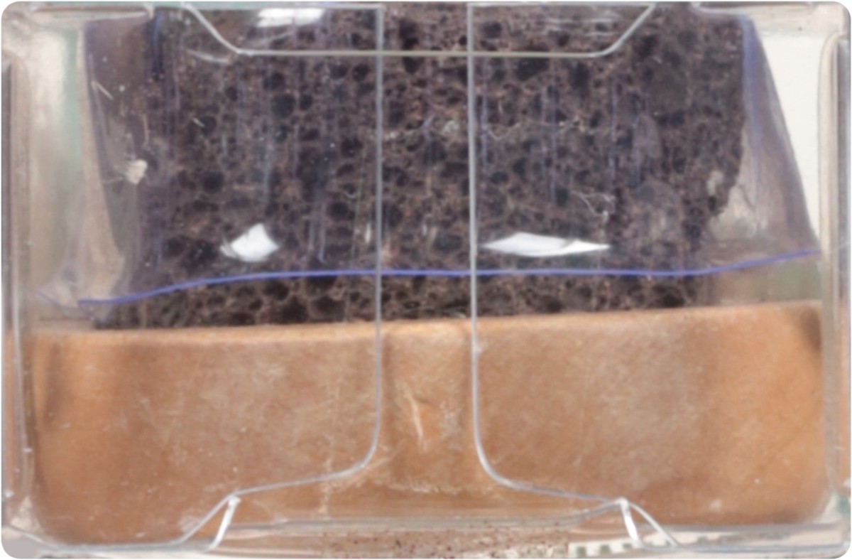 slide 3 of 9, Earth Therapeutics Natural Sierra Pumice Stick 1 ea, 1 ct