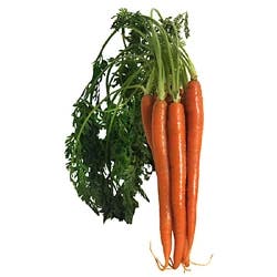 Shredded Carrots