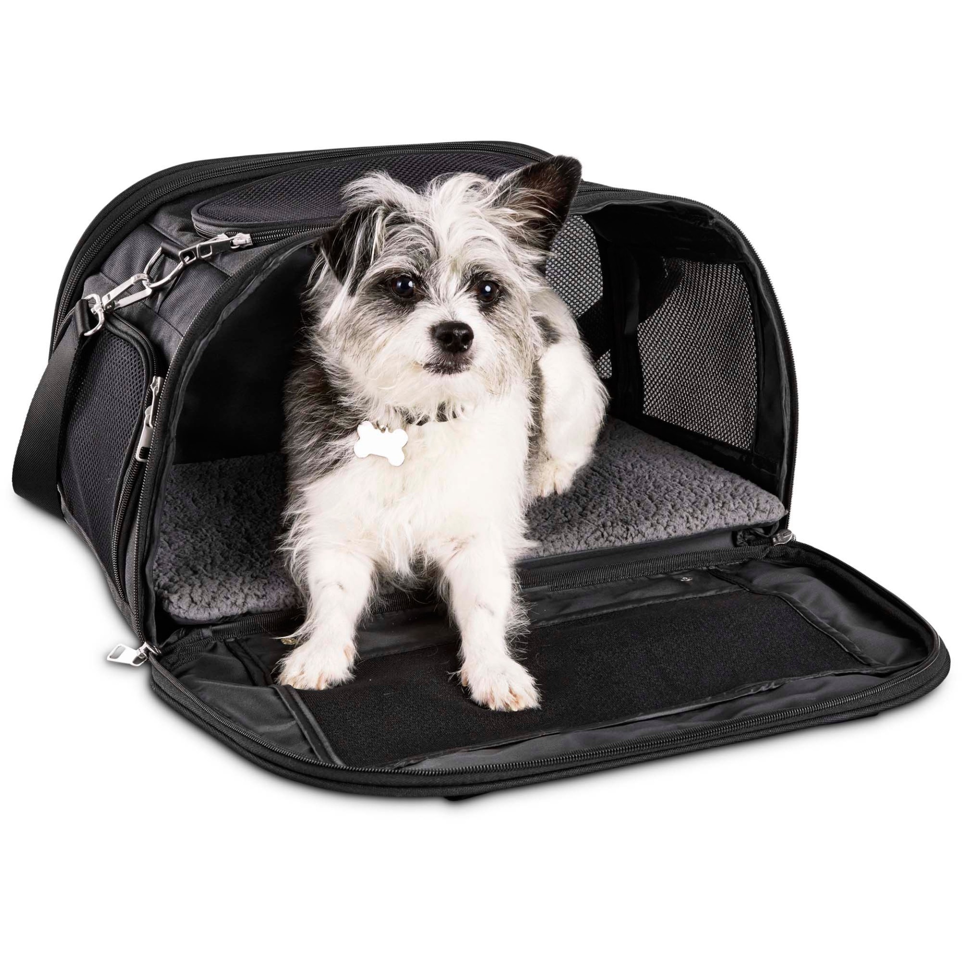 slide 1 of 1, Good2Go Ultimate Pet Carrier in Black, LG