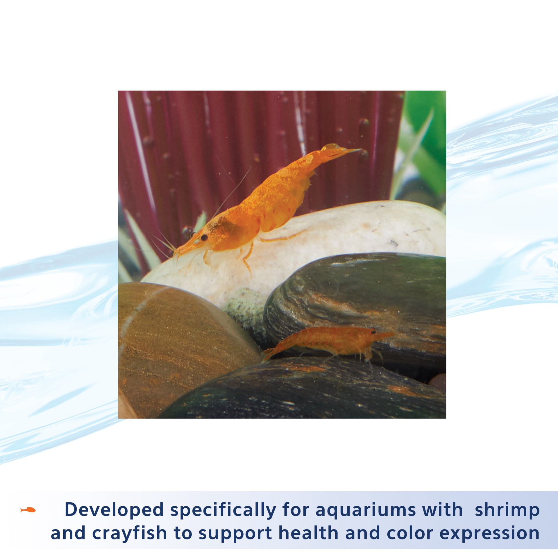 slide 2 of 7, Aqueon Shrimp Tank Plus 4 Fluid Ounces, 1 ct