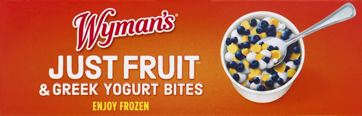 slide 9 of 9, Wyman's Maine Wild Blueberries, Mangos Just Fruit & Greek Yogurt Bites 4 ea, 4 ct