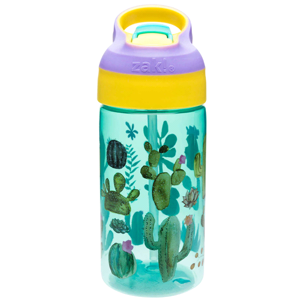 slide 1 of 1, Zak! Designs Riverside Water Bottle - Cactus, 1 ct