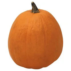 Pumpkin 1 ea