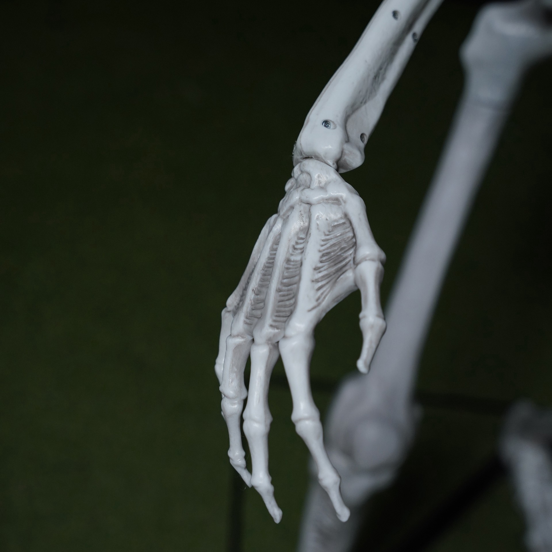 slide 6 of 6, 5ft. Skeleton With Red Light-Up Eyes By Ashland, 5 ft