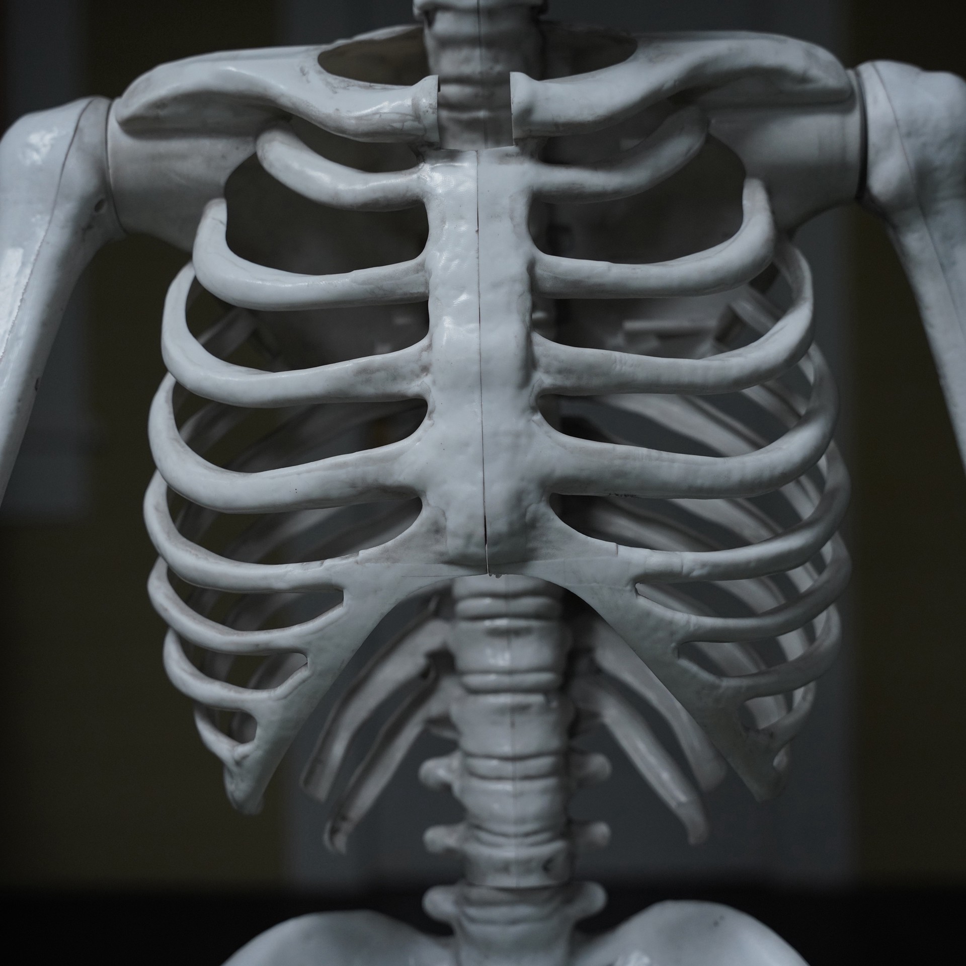 slide 5 of 6, 5ft. Skeleton With Red Light-Up Eyes By Ashland, 5 ft