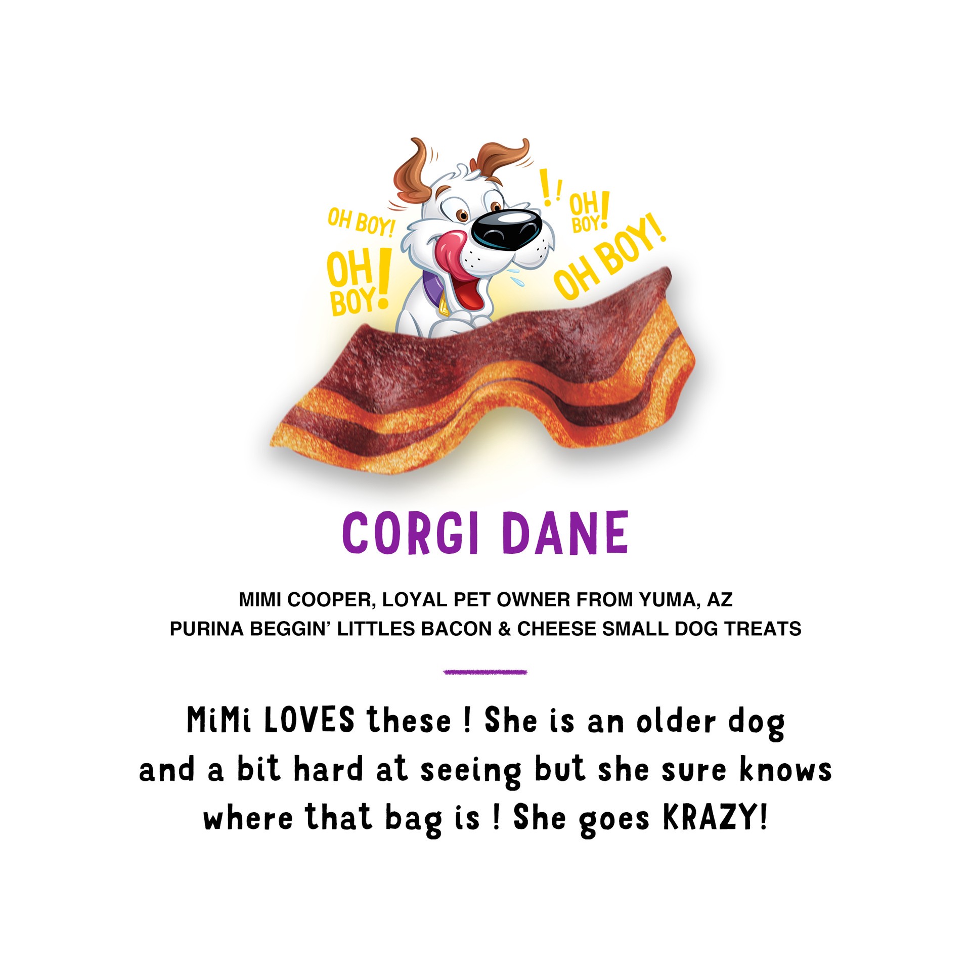 slide 3 of 9, Beggin' Purina Beggin' Dog Treats, Fun Size With Bacon and Cheese Flavor, 6 oz