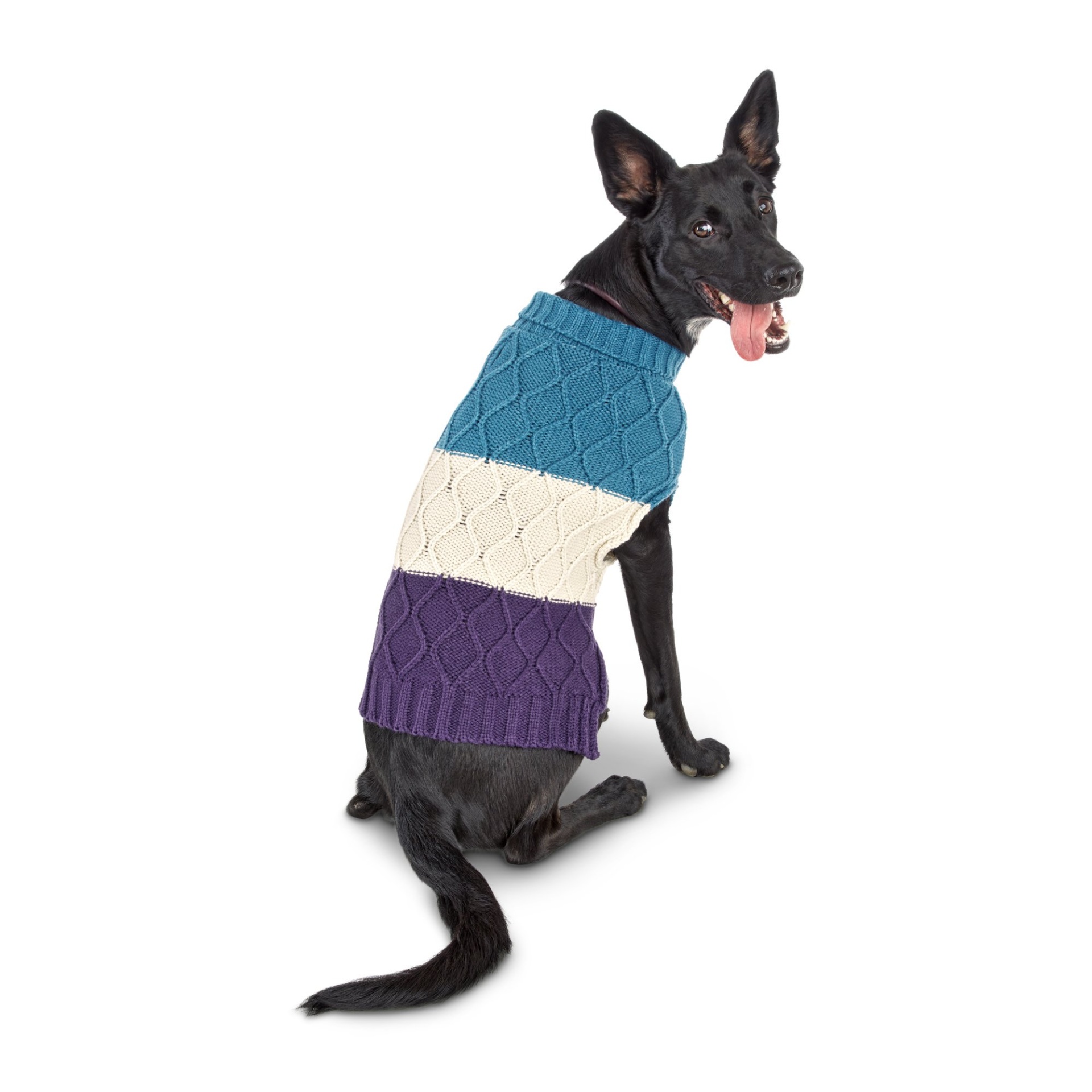 slide 1 of 1, Bond & Co. Nordic Color Blocked Dog Sweater, MED