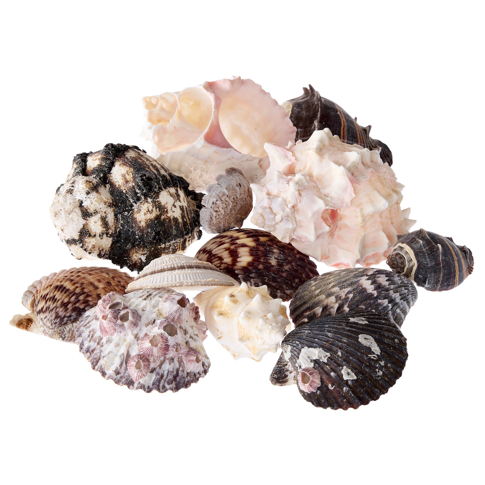 slide 4 of 4, U.s. Shell Inc. U.s. Shell Garden Bag, 5 lb