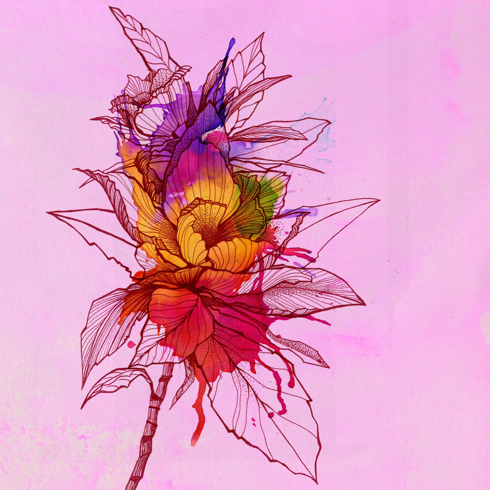 slide 4 of 7, Faber-Castell Goldfaber Aqua Flowers Dual-Tip Marker Set, 1 ct