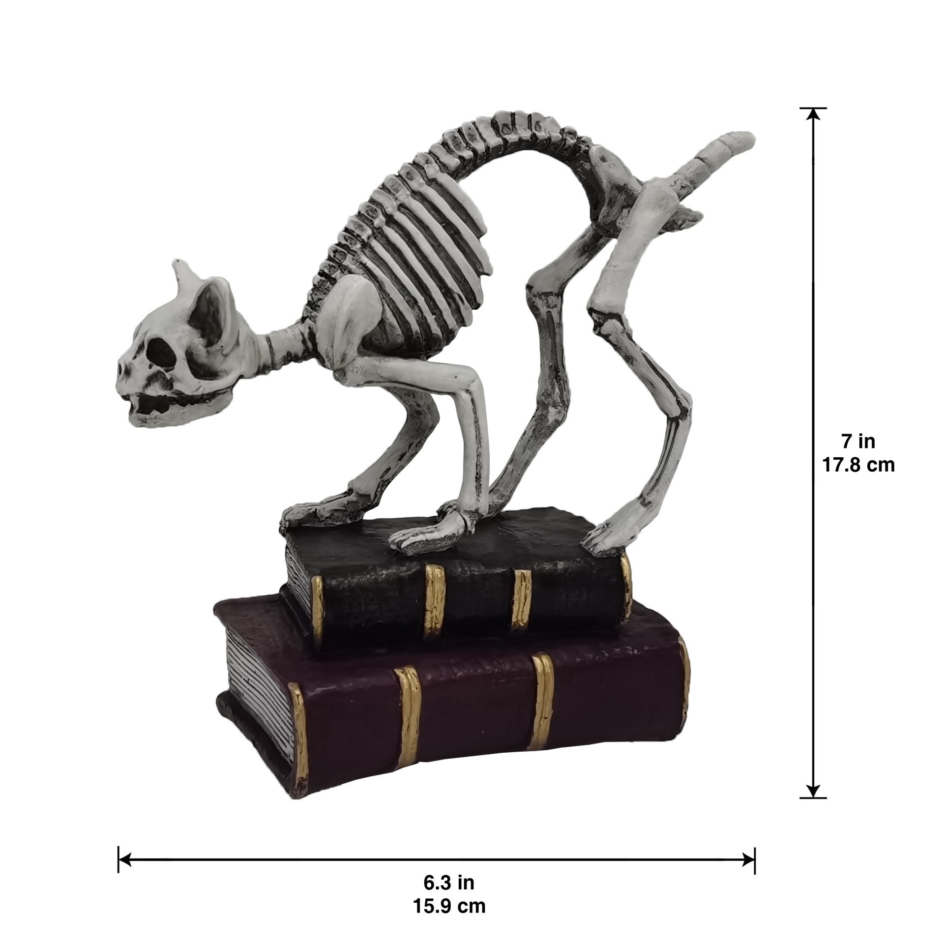 slide 3 of 4, 7" Skeleton Cat With Books Tabletop Decor By Ashland, 6.25 in x 2.875 in x 7 in
