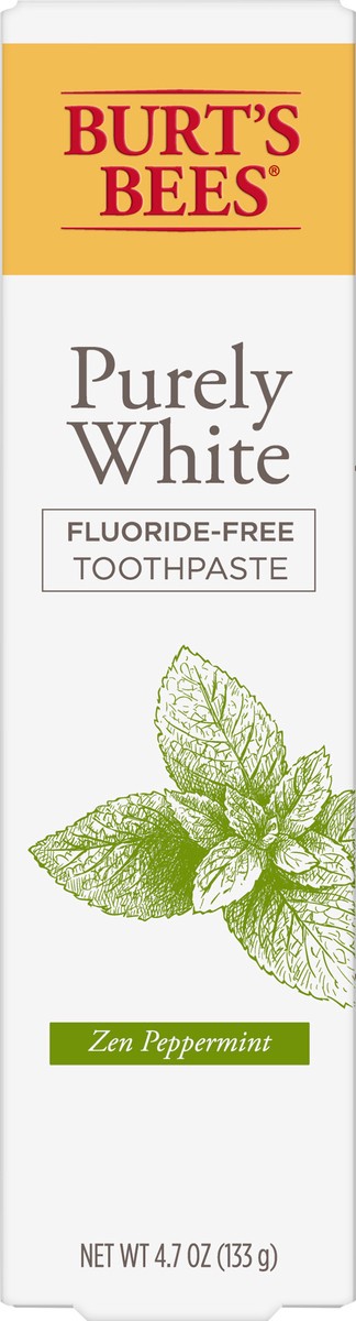 slide 2 of 2, Burt's Bees Burt''s Bees Toothpaste, Natural Flavor, Fluoride-Free, Purely White, Zen Peppermint, 4.7 oz, 4.7 oz