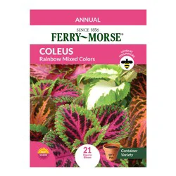 Ferry Morse Coleus, Rainbow Mixed Color