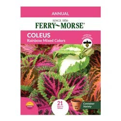 Ferry Morse Coleus, Rainbow Mixed Color