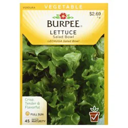 Burpee Lettuce Salad Bowl - EA