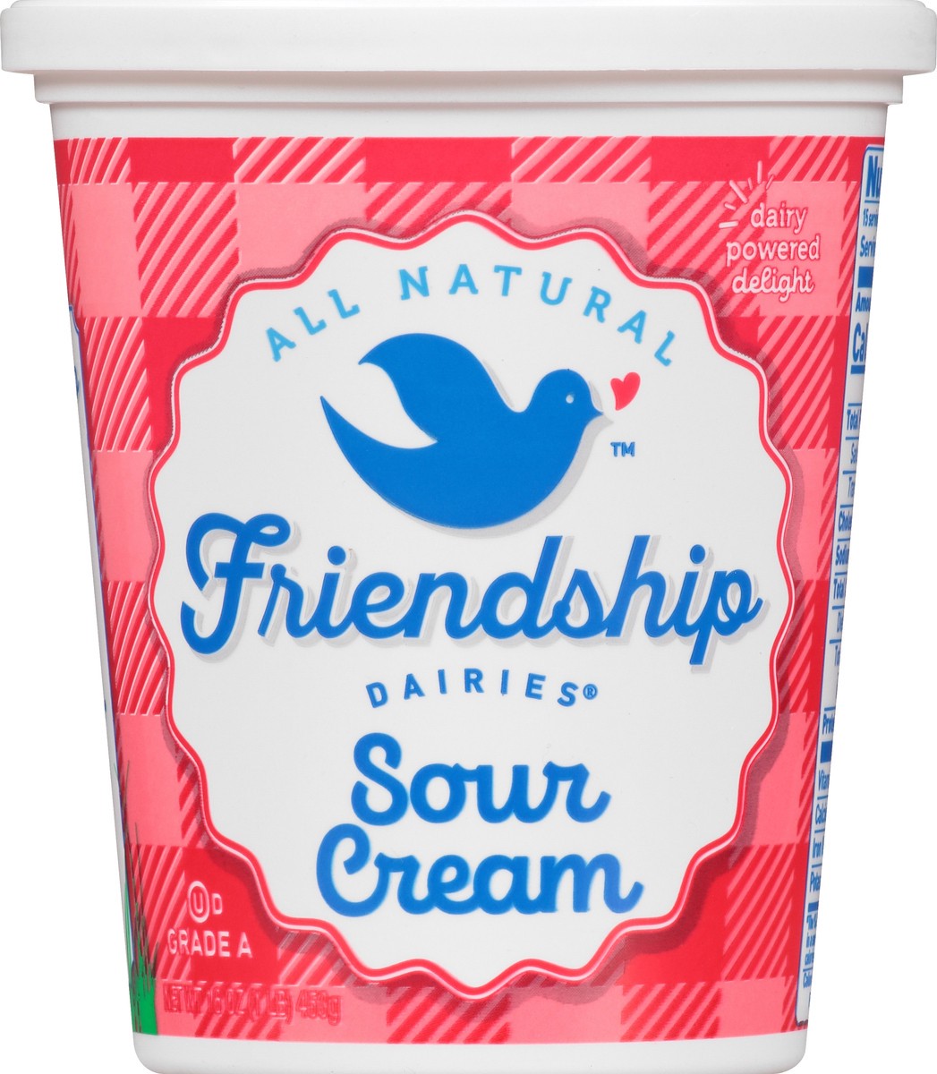 slide 12 of 13, Friendship Dairies Sour Cream, 16 oz