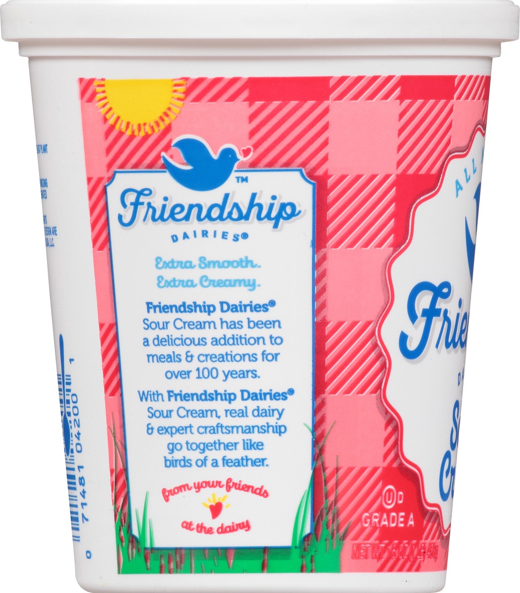 slide 7 of 13, Friendship Dairies Sour Cream, 16 oz