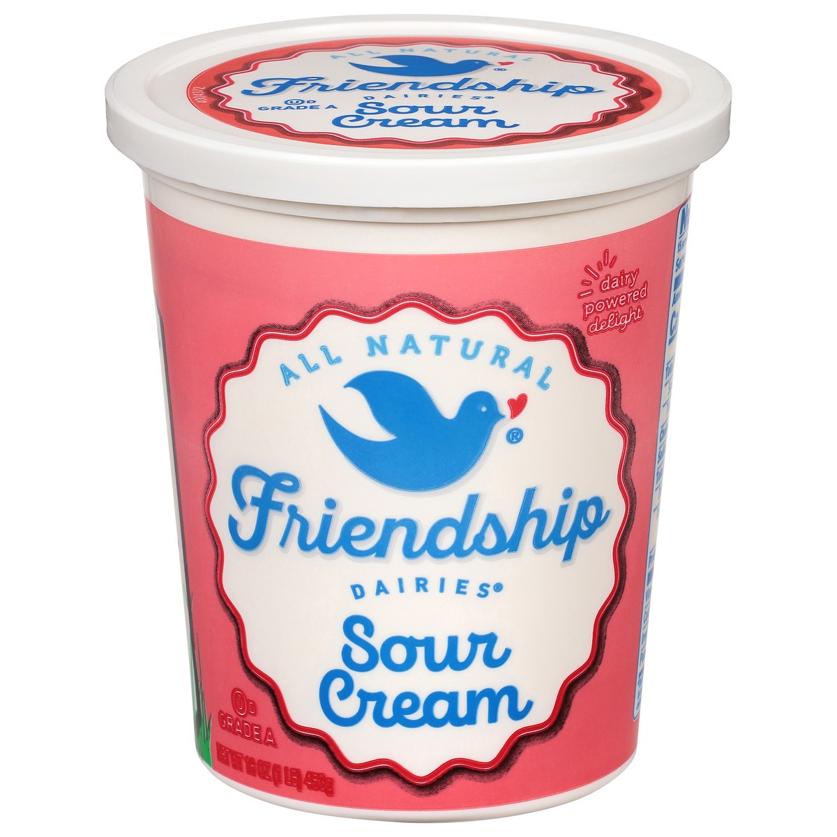 slide 1 of 13, Friendship Dairies Sour Cream, 16 oz