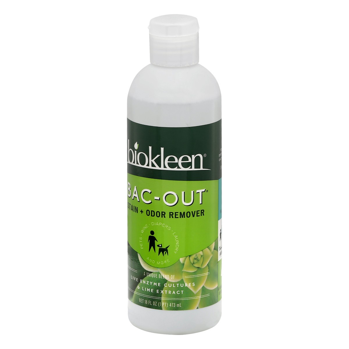 slide 3 of 9, Biokleen Bac-Out Stain + Odor Remover 16 oz, 16 oz