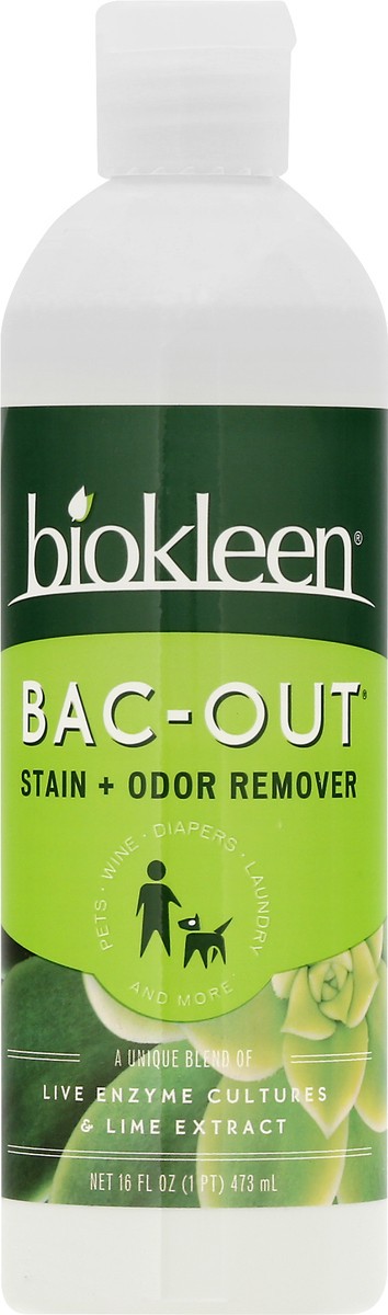 slide 7 of 9, Biokleen Bac-Out Stain + Odor Remover 16 oz, 16 oz