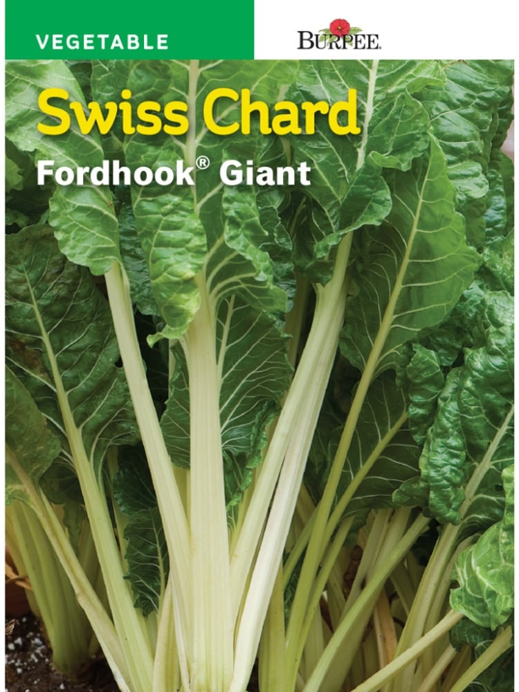 slide 1 of 1, Burpee Fordhook Giant Swiss Chard - Green, 1 ct