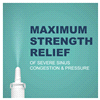 slide 17 of 29, Meijer Maximum Strength 12 Hour Severe Nasal Spray, 1 oz