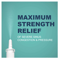 slide 18 of 29, Meijer Maximum Strength 12 Hour Severe Nasal Spray, 1 oz