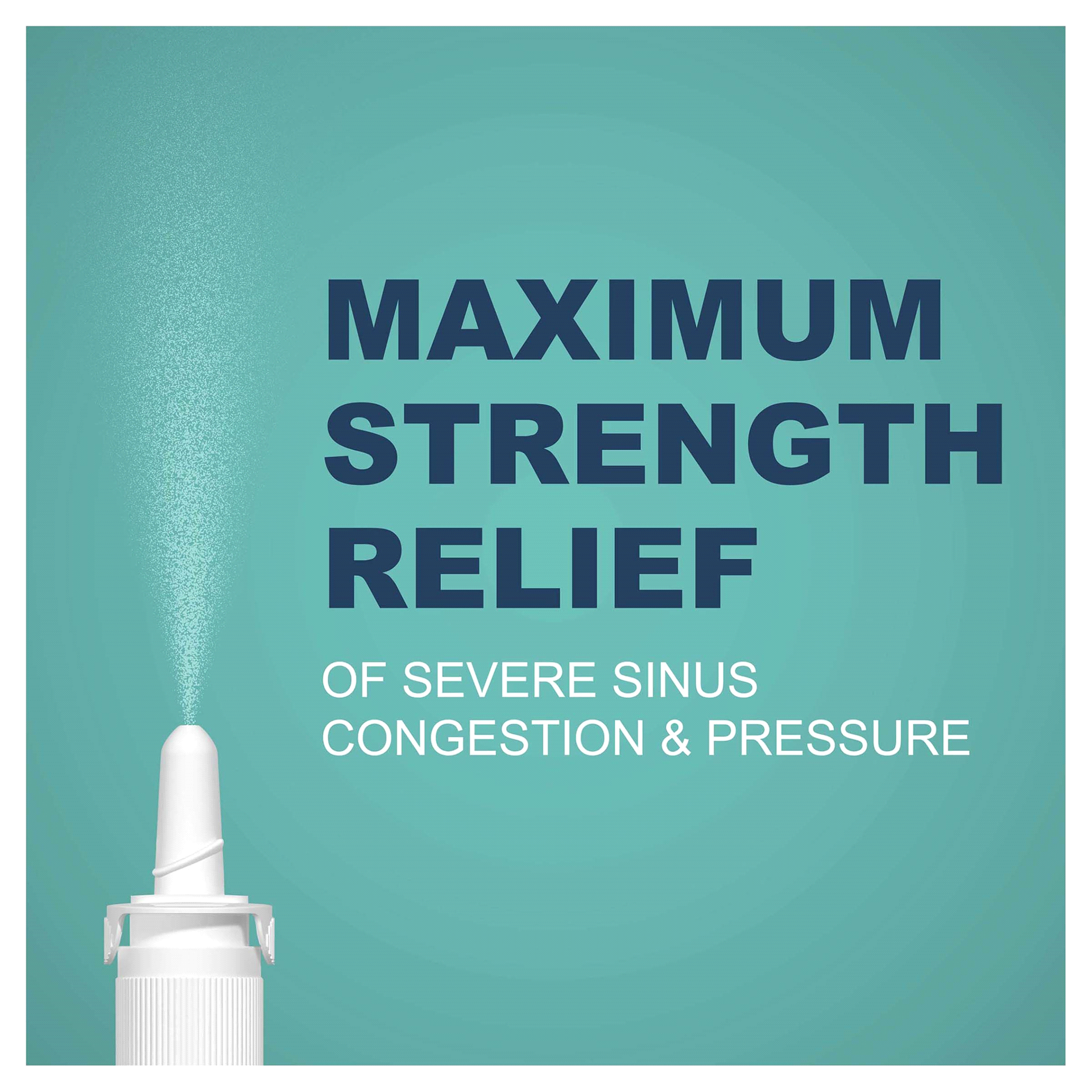 slide 20 of 29, Meijer Maximum Strength 12 Hour Severe Nasal Spray, 1 oz