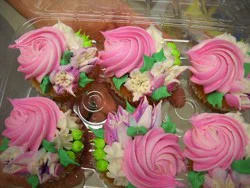 Yellow Cupcakes 6Pk(Mplhrst)