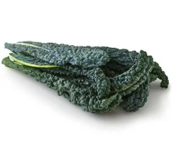 Organic Lacinato Kale