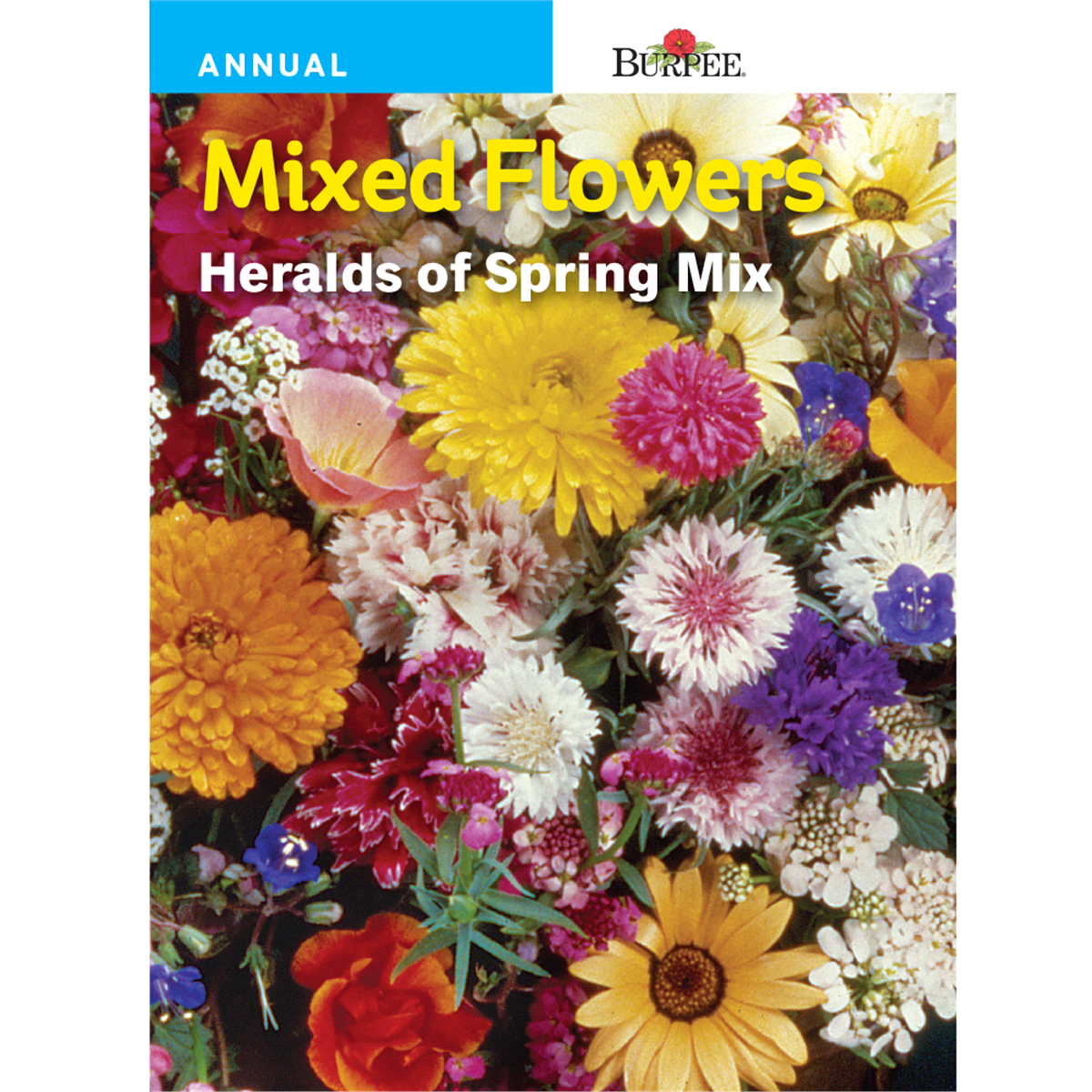 slide 1 of 1, Burpee Mixed Flowers, Heralds of Spring, 1 ct