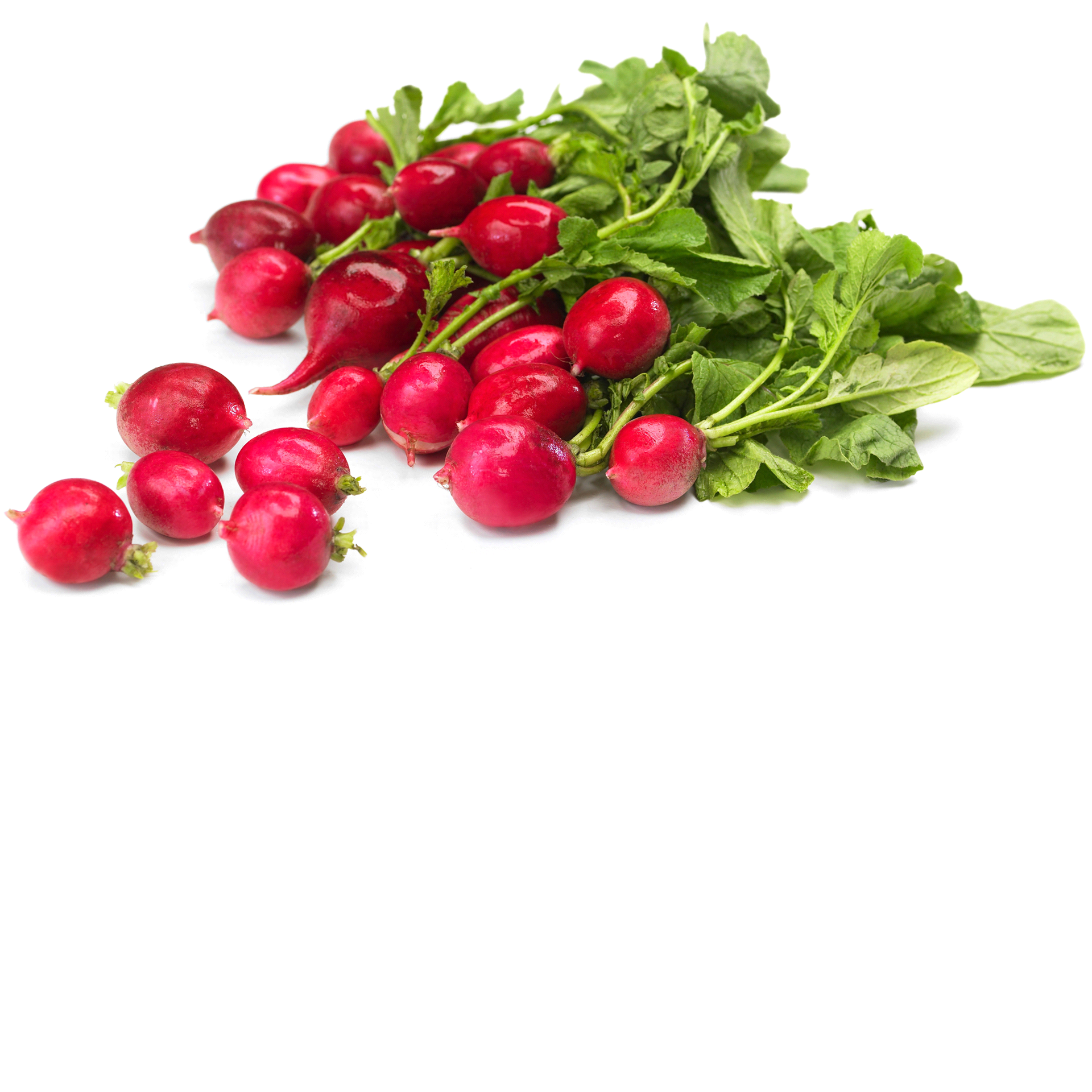 slide 1 of 1, Radishes Loose Red Radishes, 1 ct