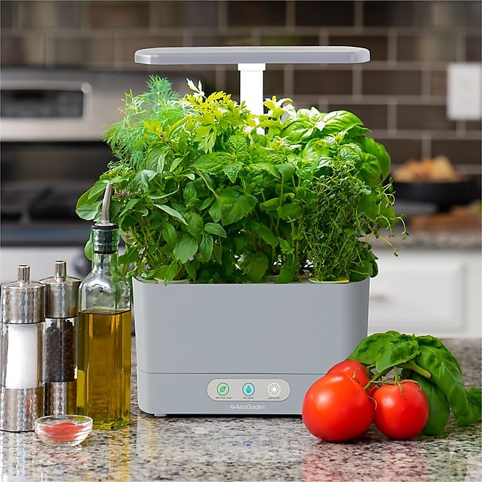 slide 4 of 6, AeroGarden Harvest with Gourmet Herb Seed Pod Kit - Cool Grey, 1 ct