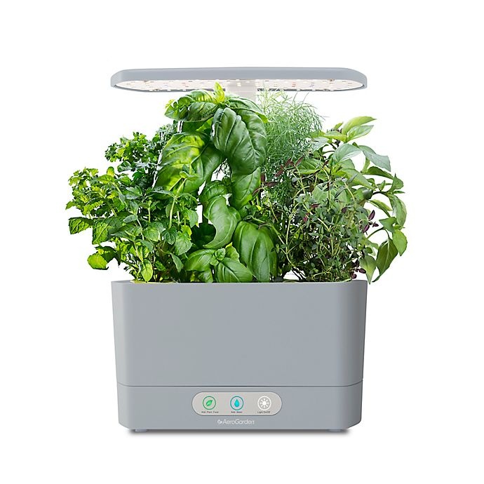 slide 1 of 6, AeroGarden Harvest with Gourmet Herb Seed Pod Kit - Cool Grey, 1 ct
