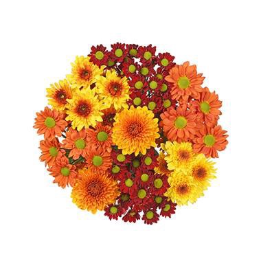 slide 1 of 1, Fall Mum Bouquet, 1 ct