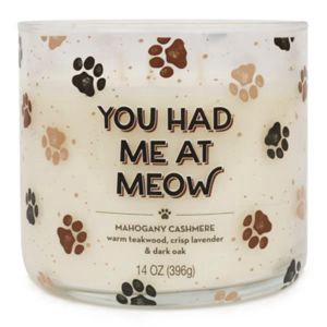 slide 1 of 1, Star Candle Co. "You Had Me At Meow" Candle, Mahogany Cashmere, 14 Oz, 14 oz