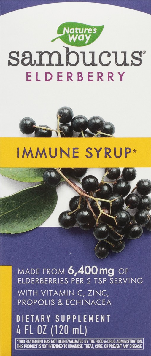 slide 4 of 9, Nature's Way Sambucus Elderberry Immune Syrup 4 fl oz, 4 fl oz