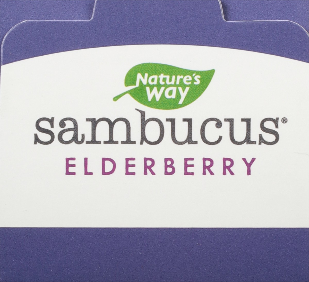 slide 5 of 9, Nature's Way Sambucus Elderberry Immune Syrup 4 fl oz, 4 fl oz